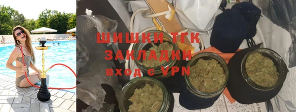 дурь Вяземский